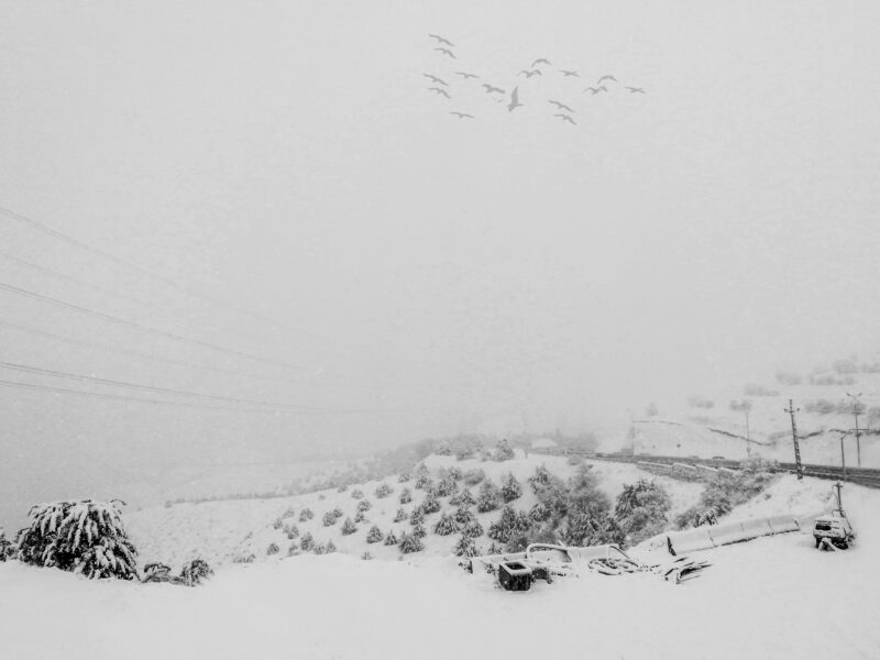 portfolio-mohamad-mirsaberi