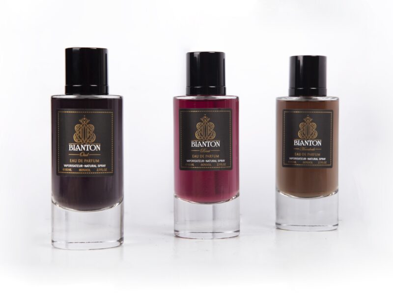 portfolio-mohamad-mirsaberi